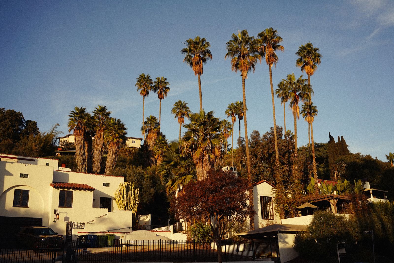 Southern California home with palm trees, representing the best home warranty companies in California