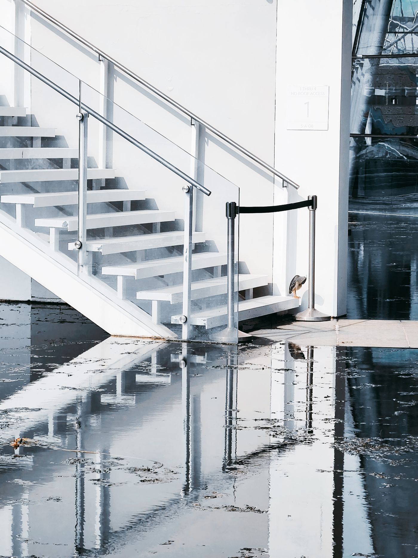 Flood water on a concrete floor by a staircase, the damage a failed sump pump can cause